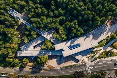 Bird's eye view of a wooden building in the middle of a forest 