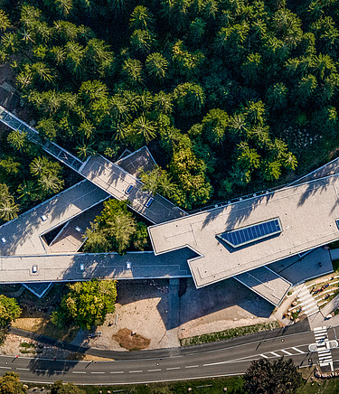 Bird's eye view of a wooden building in the middle of a forest 