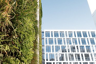 Photo of the STRABAG Innovation Center with focus on green wall 