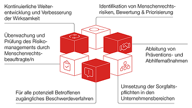 Grafik des Social Compliance Management-System bestehend aus sechs Elementen