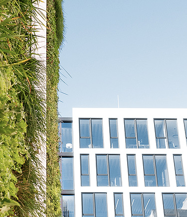 Foto von einer der begrünten Fassade am STRABAG Bürogebäude in Stuttgart