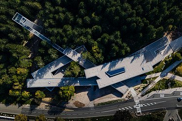 Bird's eye view of a wooden building in the middle of a forest